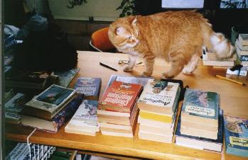 Stack of Books and Boopy ready for signature